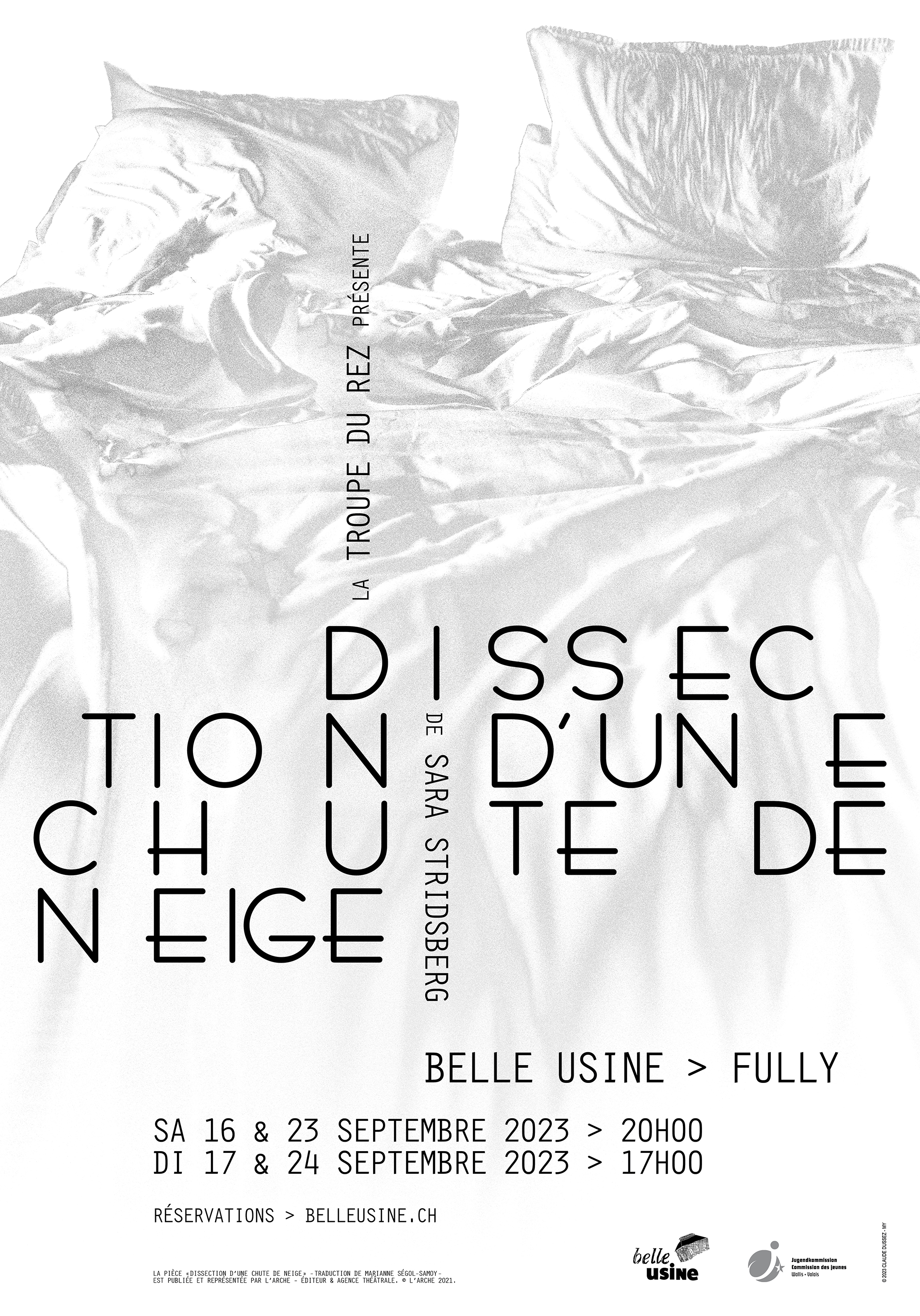 Affiche Dissection d'une chute de neige